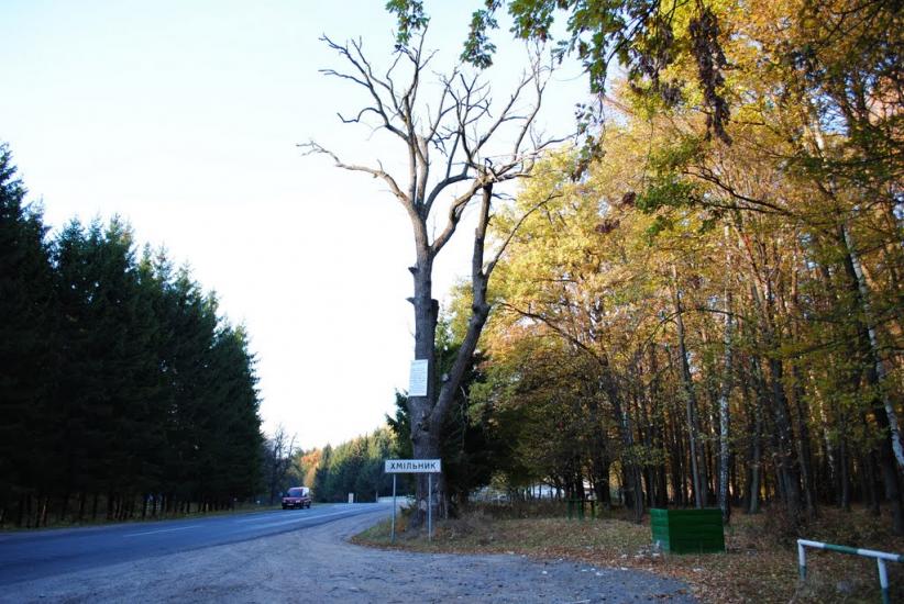 Хмільник з panoramio.com - Хмельник