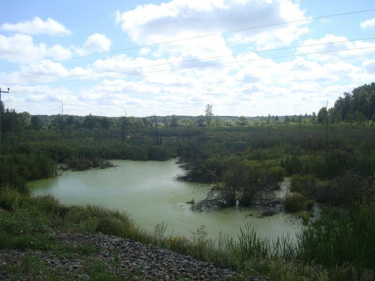 Савичі з panoramio.com - Савичи