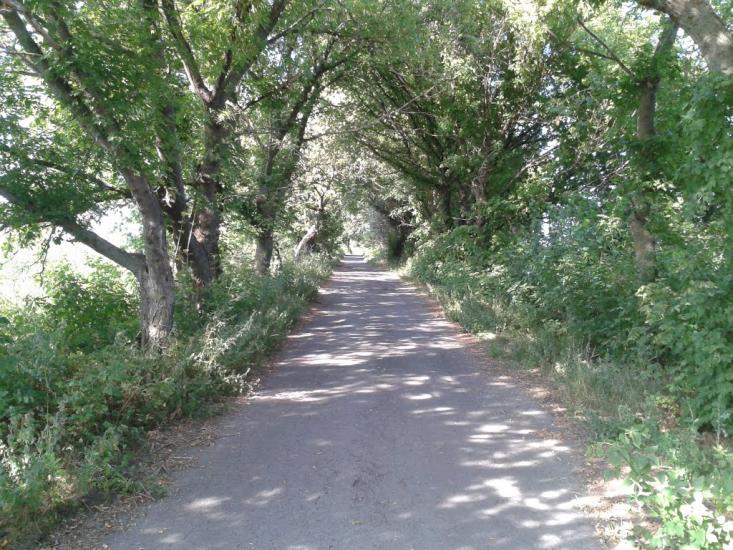 Лецьки з panoramio.com - Лецьки