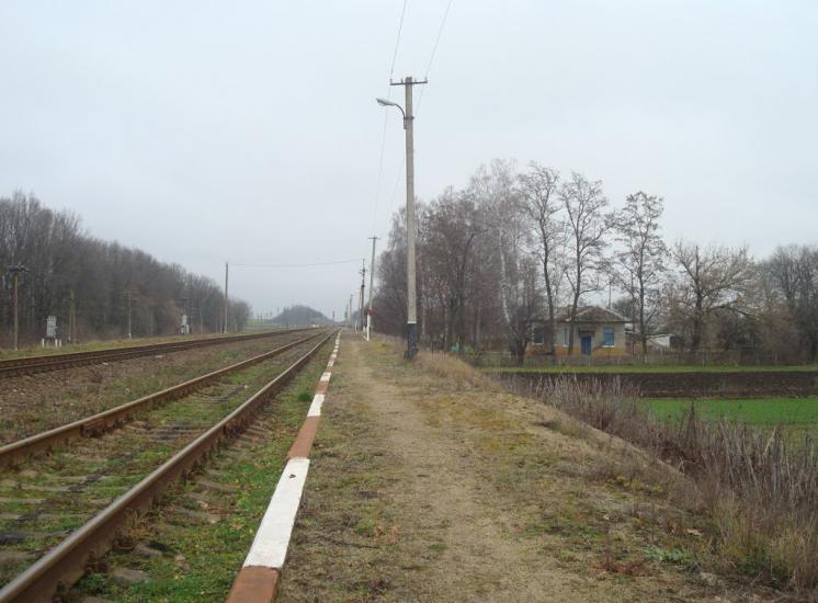 Воронківці з panoramio.com - Воронковцы