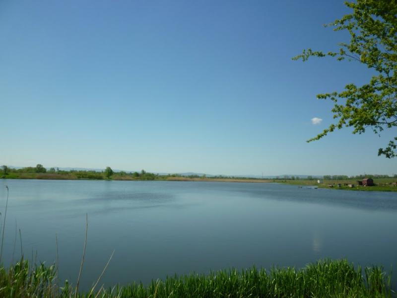 П'яновичі з panoramio.com - П'яновичі