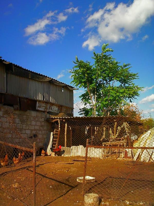 Ароматне з panoramio.com - Aromatne