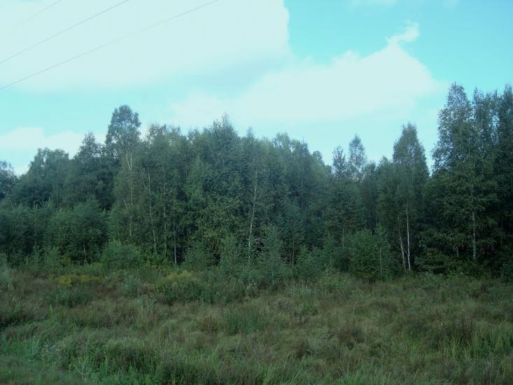 Рудня-Новенька з panoramio.com - Рудня-Новенька