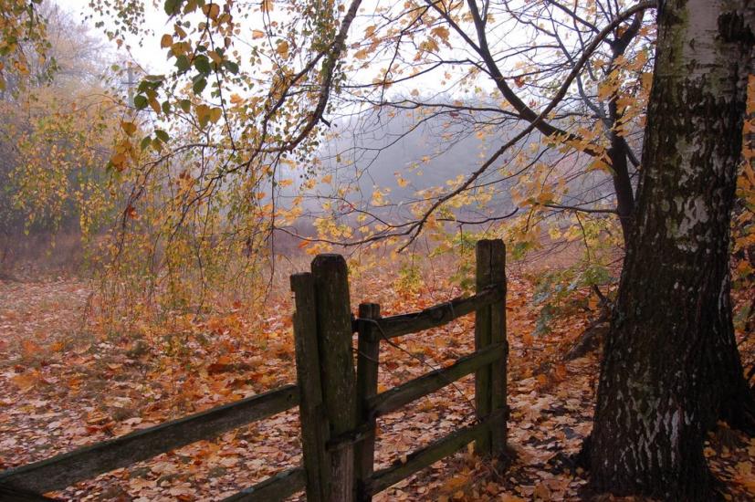 Хоцьки з panoramio.com - Хоцки