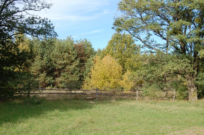 Хоцьки з panoramio.com - Хоцки