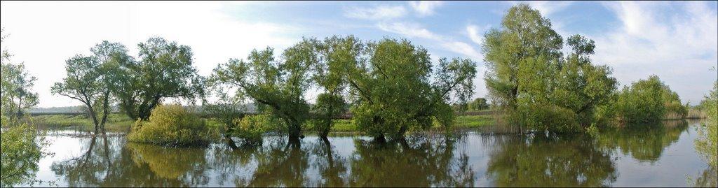 Новий Стародуб з panoramio.com - Новий Стародуб