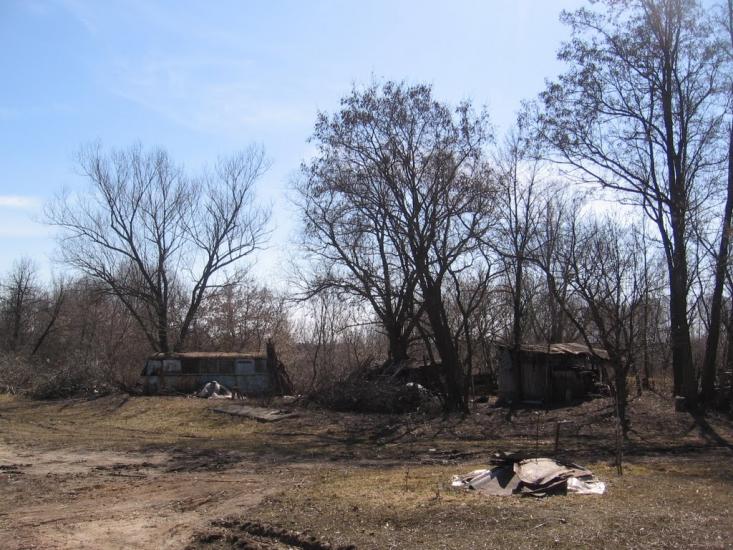 Петрушин з panoramio.com - Петрушин