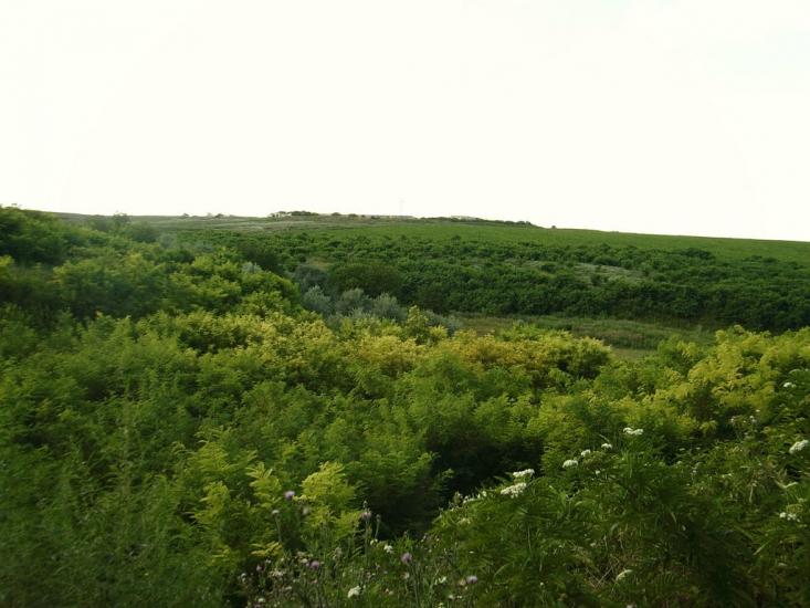 Малоярославець Перший з panoramio.com - Малоярославец Первый