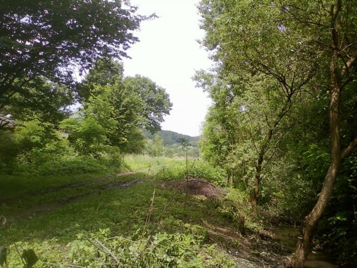 Великі Глібовичі з panoramio.com - Великі Глібовичі