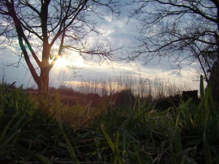 Пухальщина з panoramio.com - Пухальщина