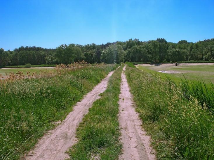 Забір'я з panoramio.com - Zabirya