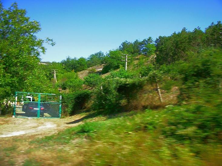 Каштанове з panoramio.com - Каштановое