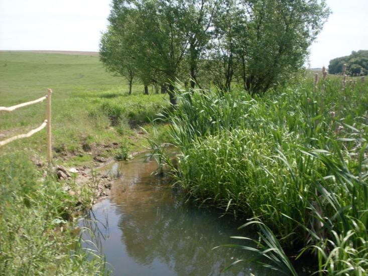 Кунка з panoramio.com - Кунка