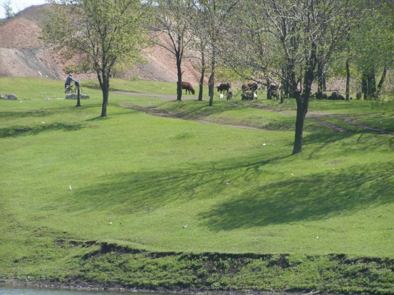 Кринична з panoramio.com - Криничная
