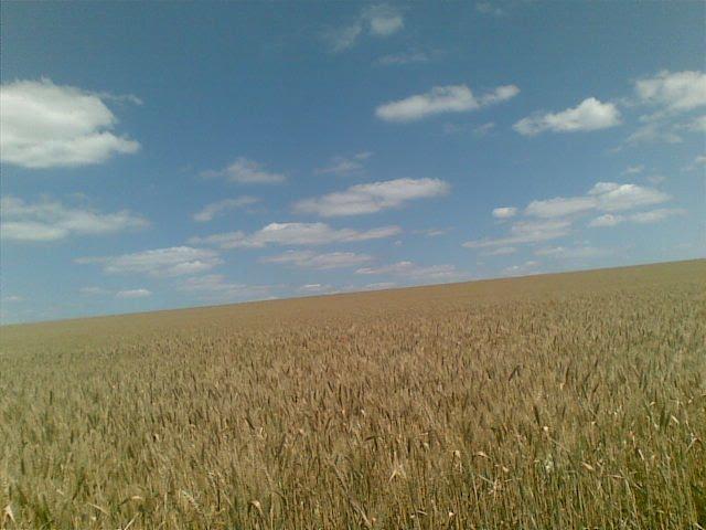 Любопіль з panoramio.com - Любополь