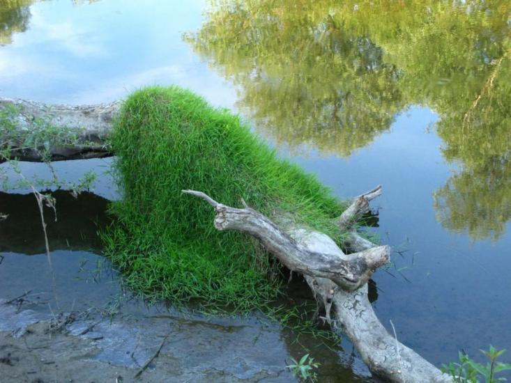 Литовеж з panoramio.com - Литовеж
