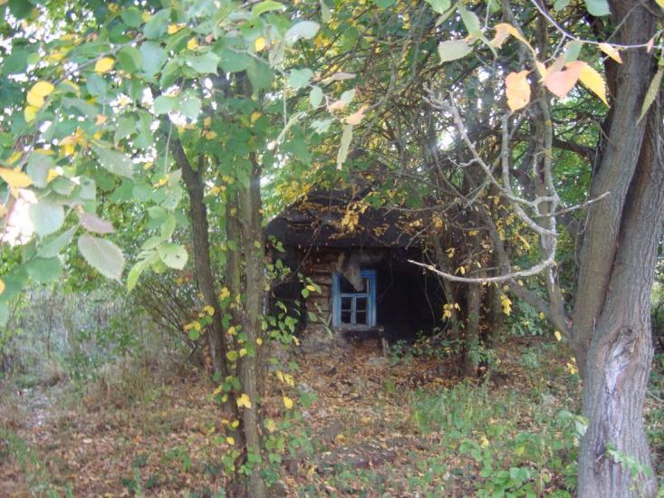Пилява з panoramio.com - Пилява