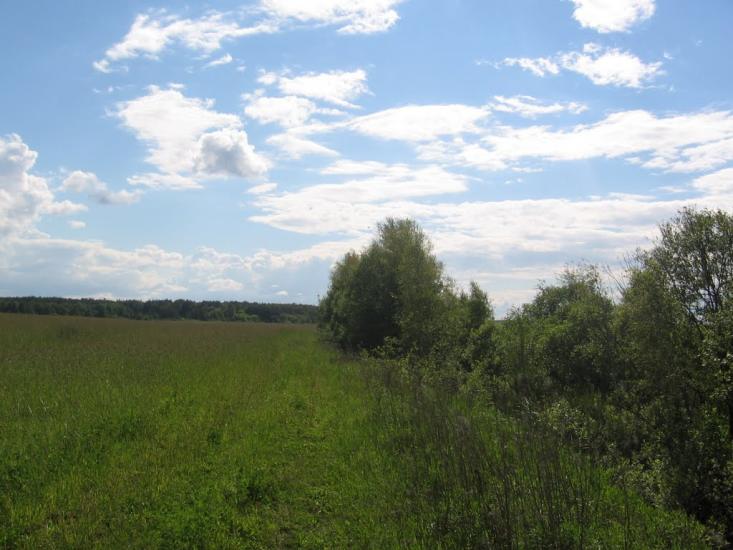 Терехівка з panoramio.com - Тереховка
