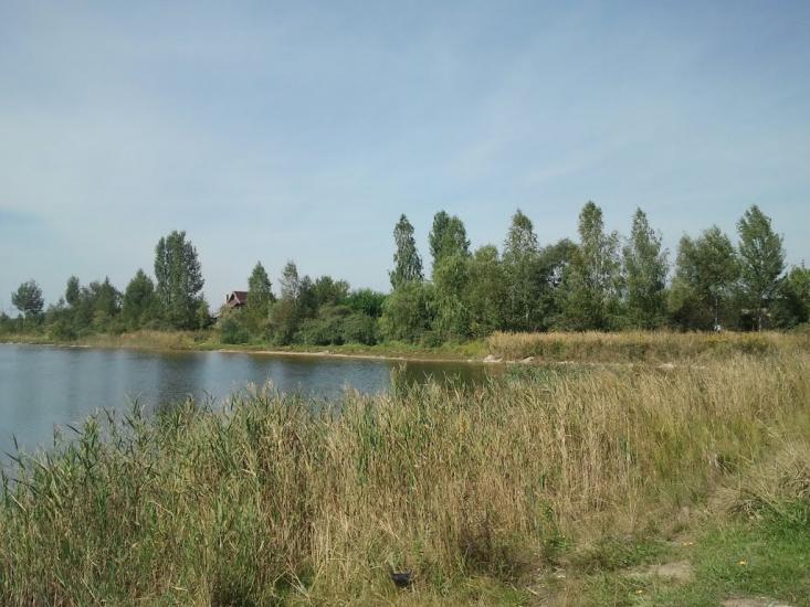 Торф'яне з panoramio.com - Торфяное