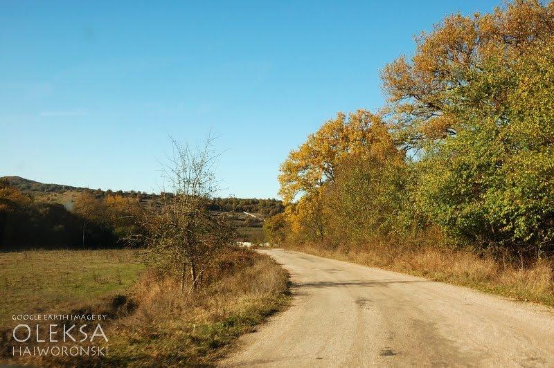Новопілля з panoramio.com - Новополье