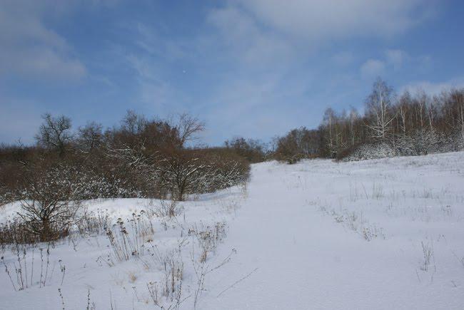 Борщова з panoramio.com - Борщевая