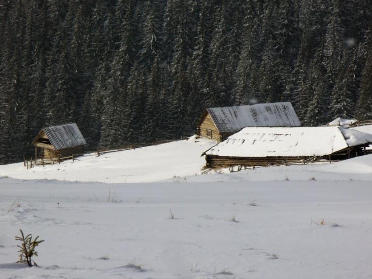 Стебний з panoramio.com - Стебный