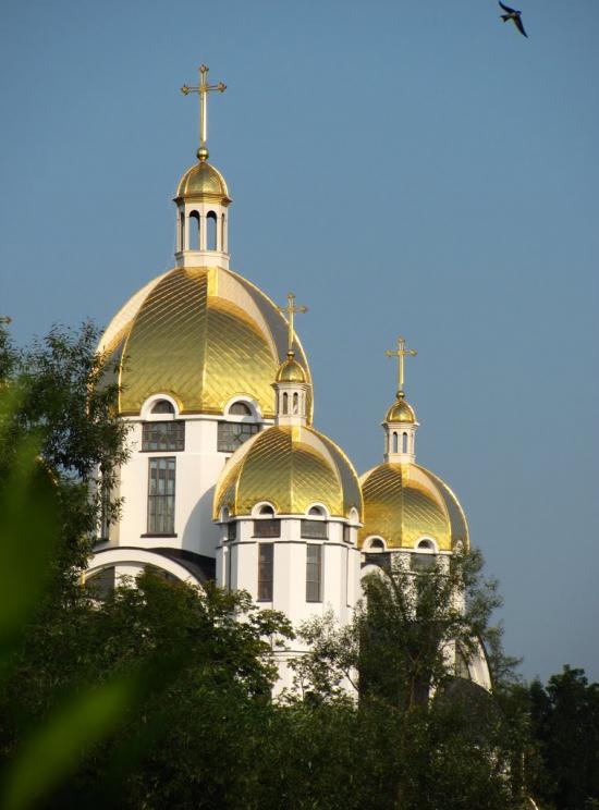 Вишнівчик з panoramio.com - Вишневчик