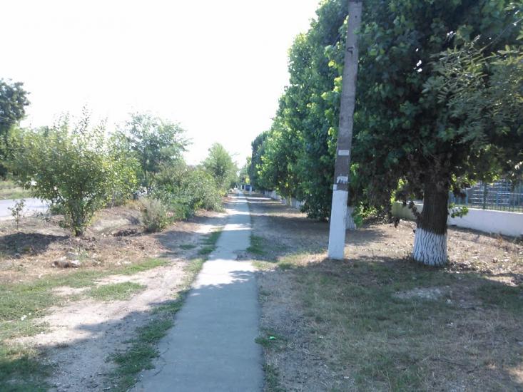 Випасне з panoramio.com - Випасне