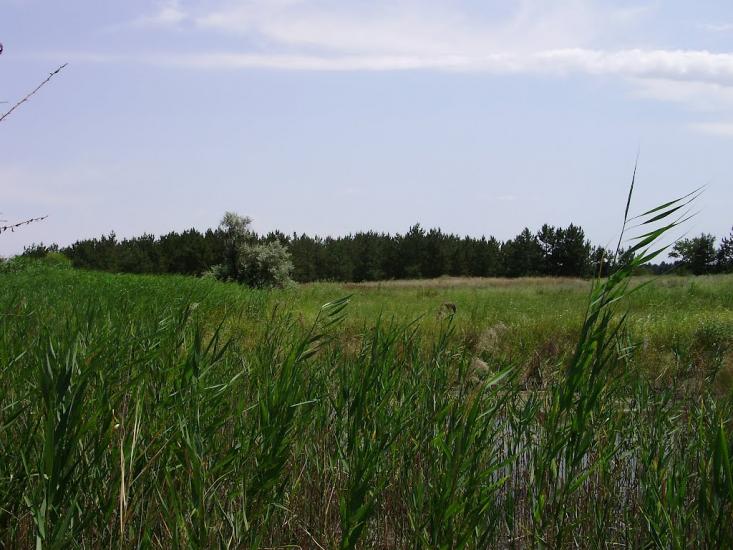 Саги з panoramio.com - Sagy