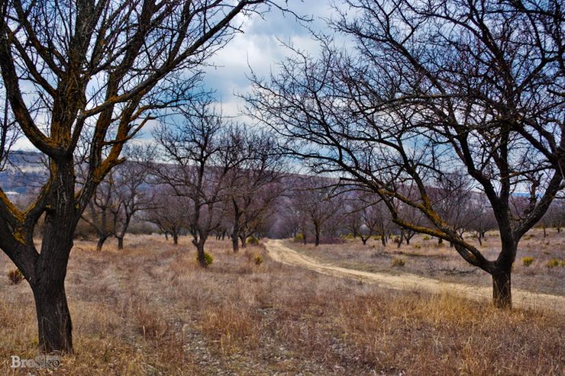 Білокам'яне з panoramio.com - Білокам'яне