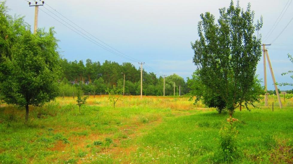Богданівка з panoramio.com - Богдановка