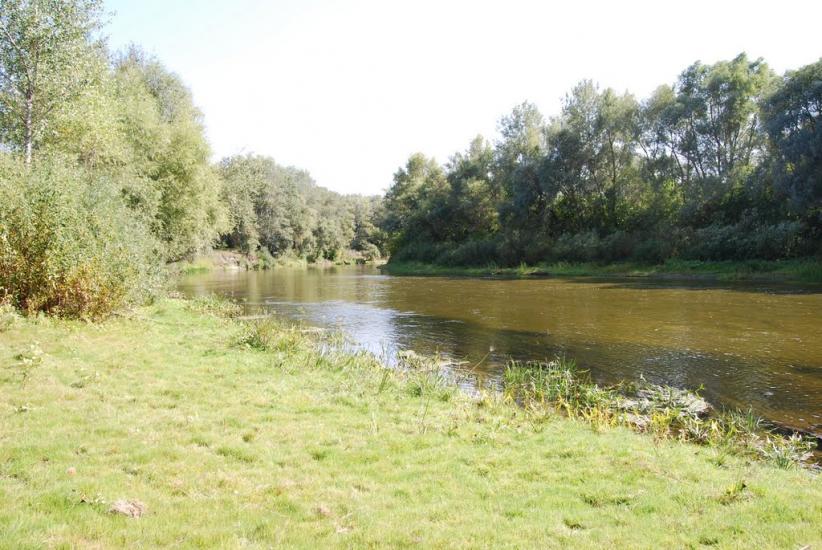 Говтва з panoramio.com - Govtva