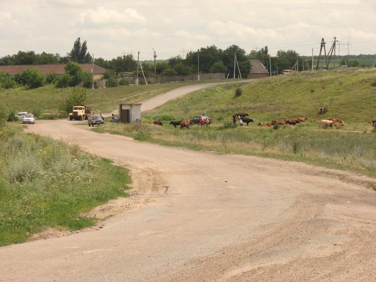 Володимирівка з panoramio.com - Володимирівка