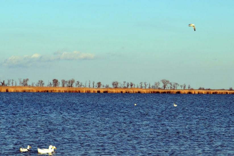 Дарівка з panoramio.com - Даровка