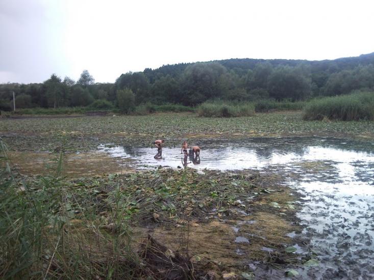 Великі Глібовичі з panoramio.com - Velyki Glibovychi