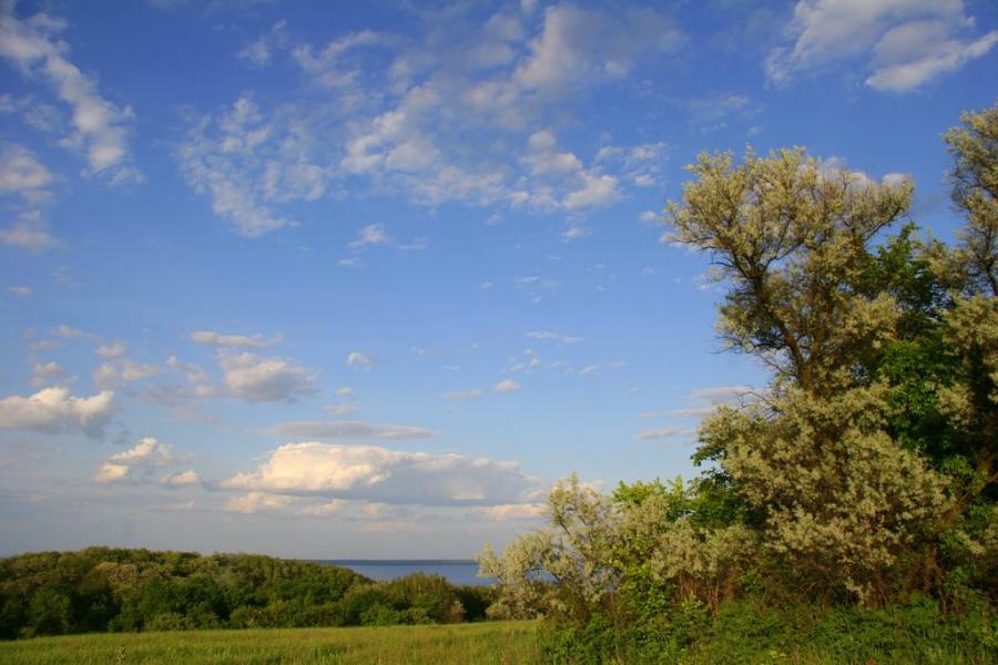 Григорівка з panoramio.com - Григоровка
