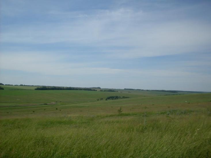 Куна з panoramio.com - Куна