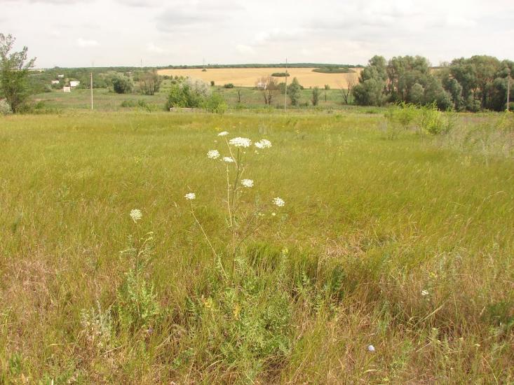 Новий Донбас з panoramio.com - Новий Донбас