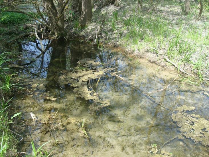 Любомирівка з panoramio.com - Любомировка