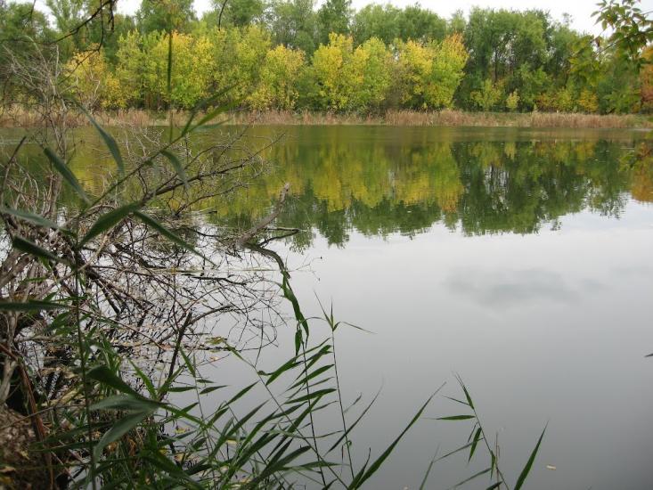 Хворостянівка з panoramio.com - Хворостянівка