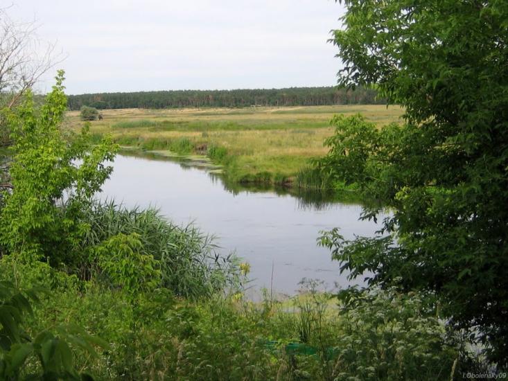 Мохнач з panoramio.com - Мохнач