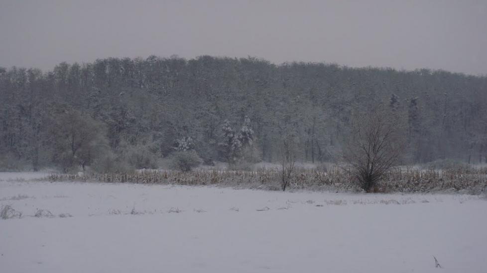 Лубенці з panoramio.com - Лубенцы