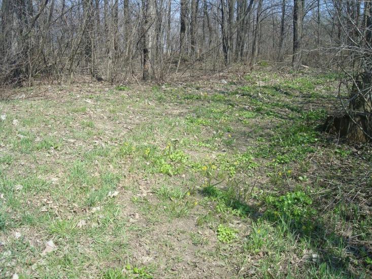 Чапаєвка з panoramio.com - Малые Коростовцы