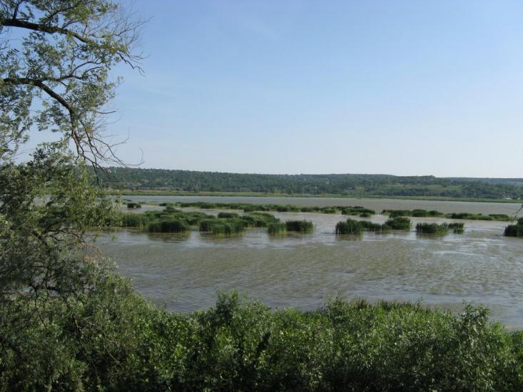 Карнаухівка з panoramio.com - Карнаухівка