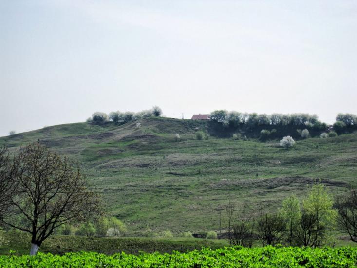 Михальча з panoramio.com - Mykhalcha