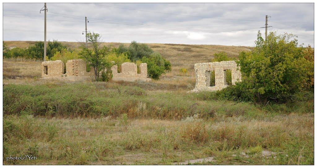 Давидо-Микільське з panoramio.com - Davydo-Mykilske
