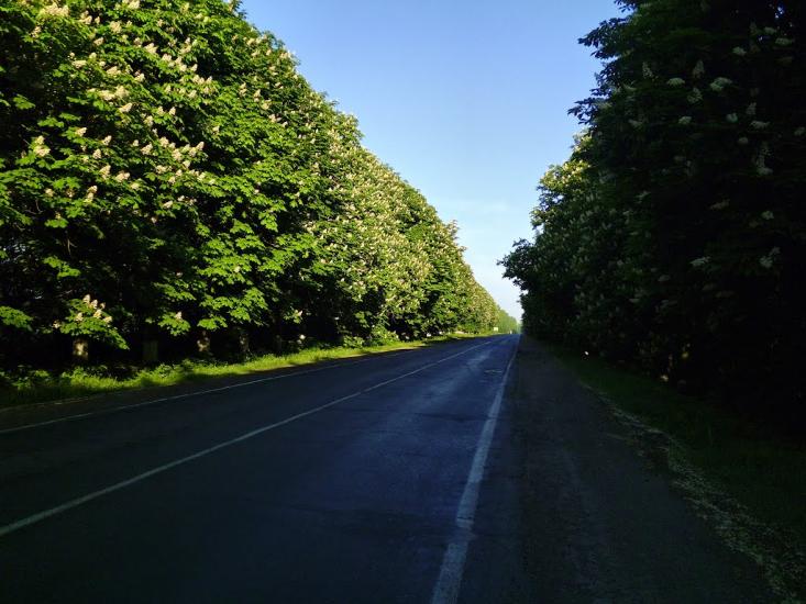 Краснопілка з panoramio.com - Краснополка