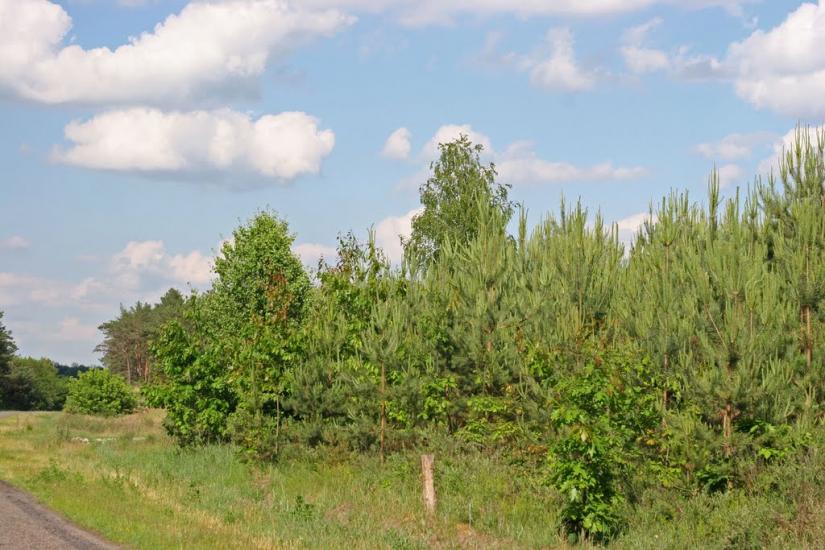 Дернівка з panoramio.com - Дерновка