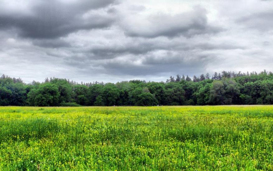 Знаменівка з panoramio.com - Znamenivka