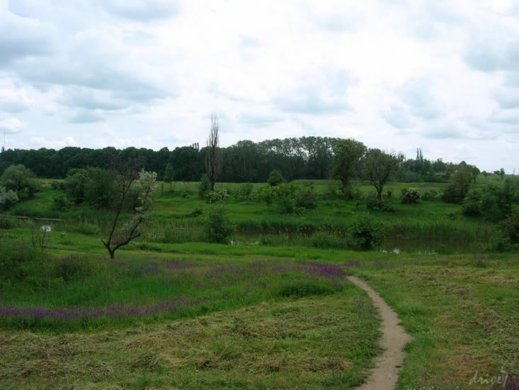 Стародобровільське з panoramio.com - Стародобровольское
